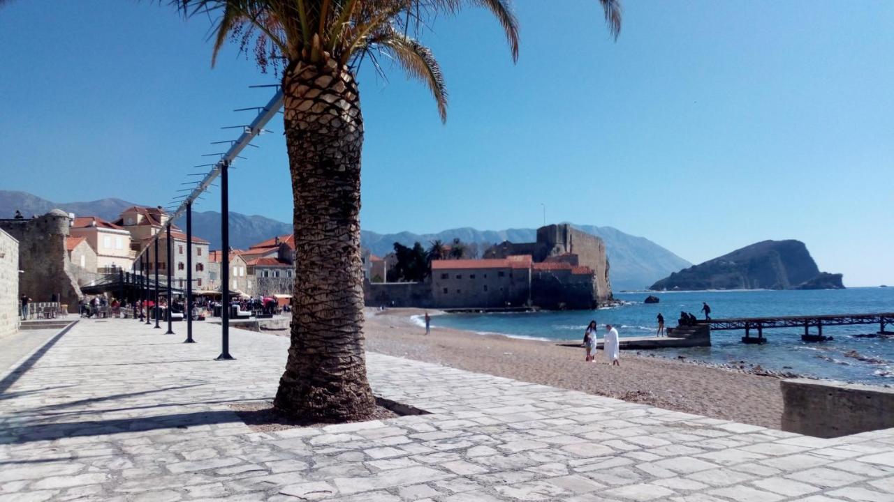 Lotus Alba Budva