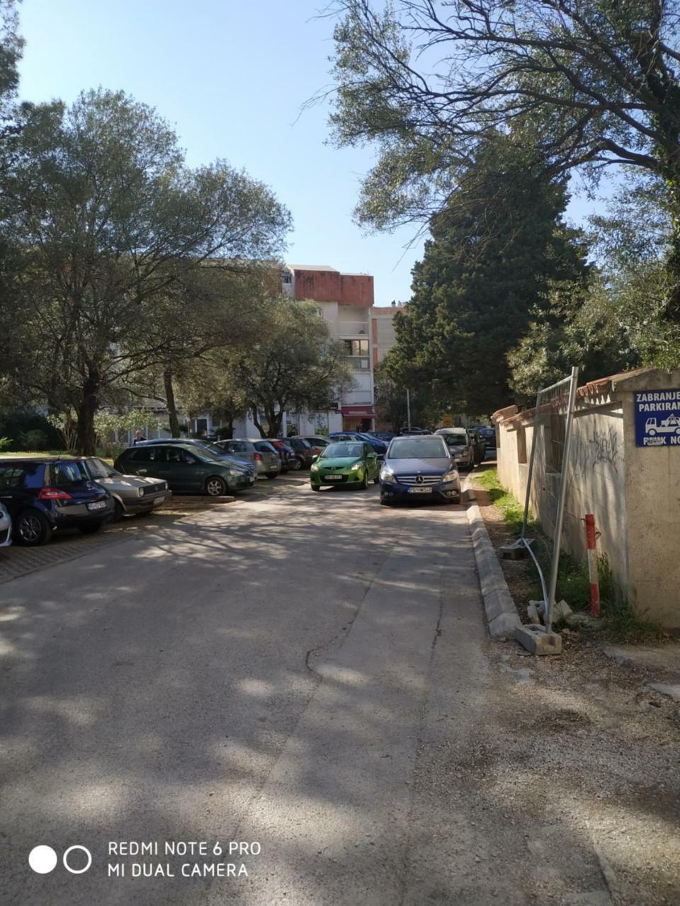 Lotus Alba Budva
